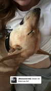 liem_sadan Altpins Profile Picture