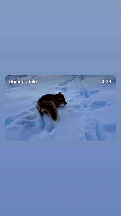 efrat_elmalich efrat_elmalich archive video