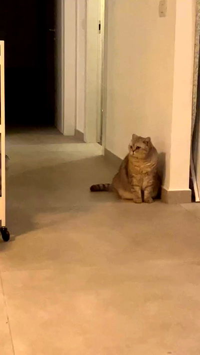 elianachetrit elianachetrit archive video