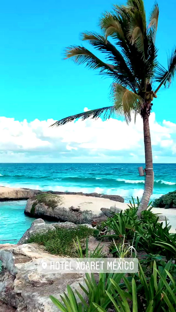 noa_mendel_ archive video preview
