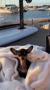 jenny.kaly Altpins Profile Picture