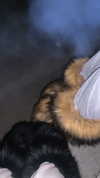 theresemarlen Altpins Profile Picture