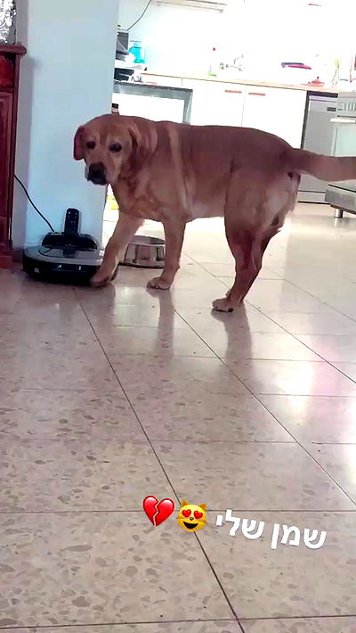 lissi77 lissi77 archive video