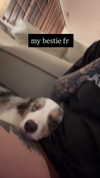 nonsalemwitch Altpins Profile Picture