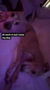 1kyle8_ Altpins Profile Picture