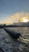 topaz_bn Altpins Profile Picture