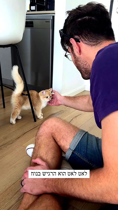 itsilanosh itsilanosh archive video