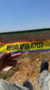 or_hasid Altpins Profile Picture