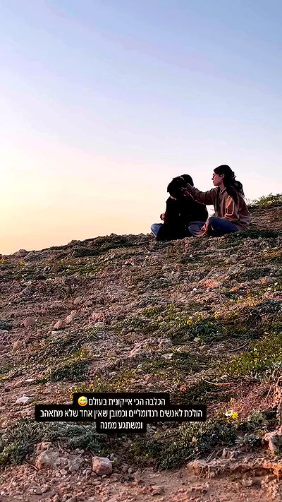 talweisswasser talweisswasser archive video