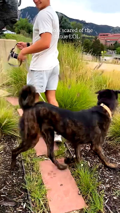 thelizzyporter thelizzyporter archive video