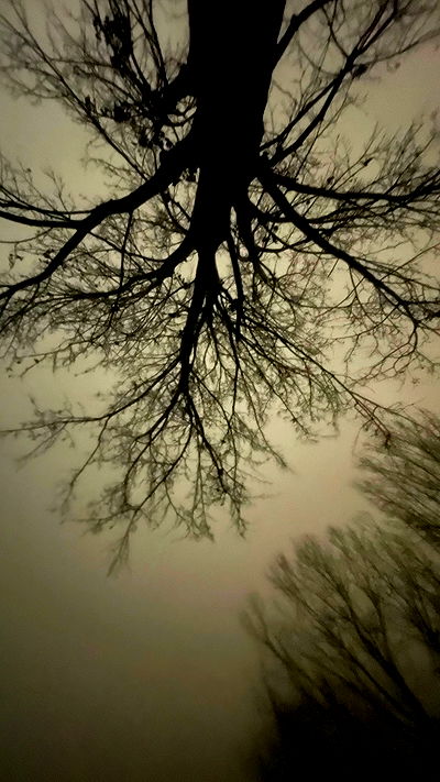 aekamee aekamee archive video