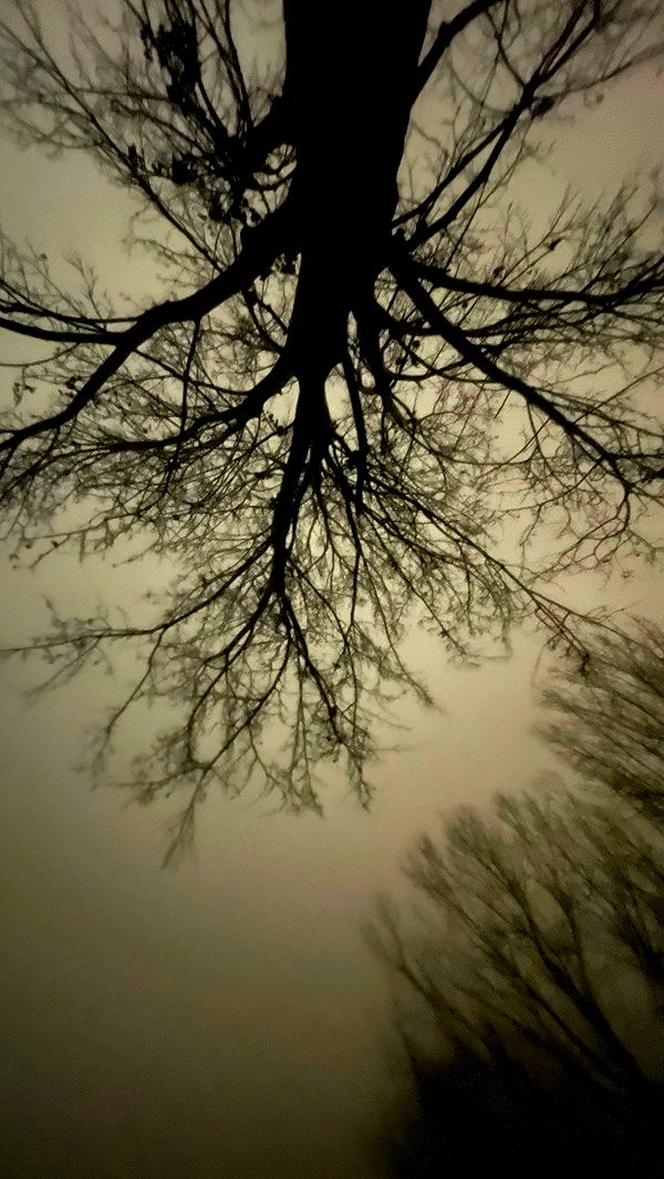 aekamee archive video preview