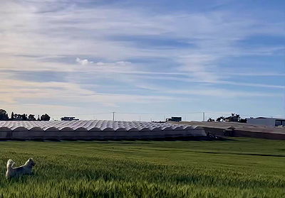 efrat_elmalich efrat_elmalich archive video