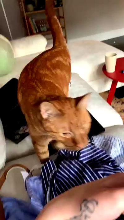 winbun.io winbun.io archive video