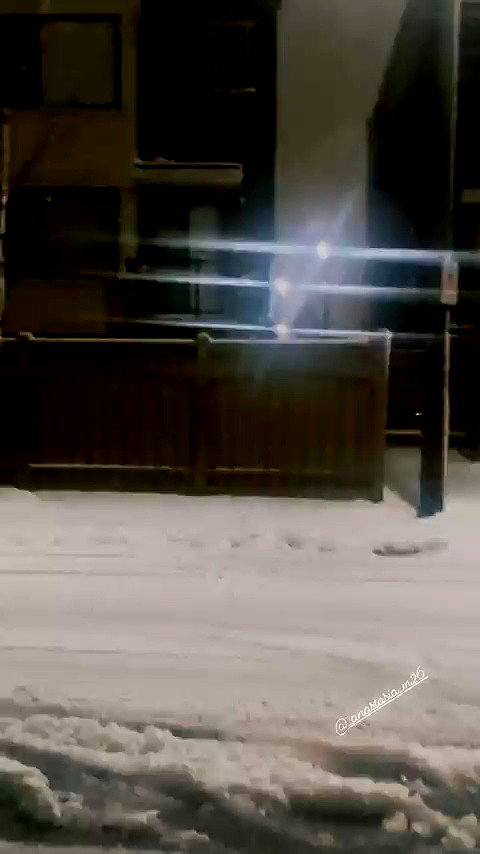 kimberlypoliakov archive video preview