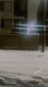 kimberlypoliakov Altpins Profile Picture