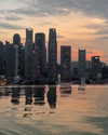 tingting_lai Altpins Profile Picture