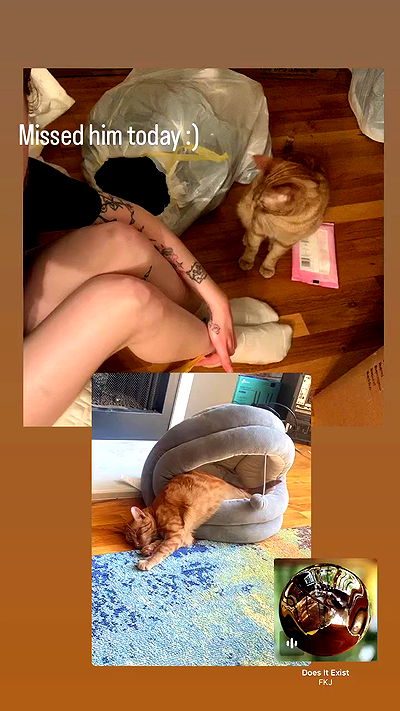 winbun.io winbun.io archive video