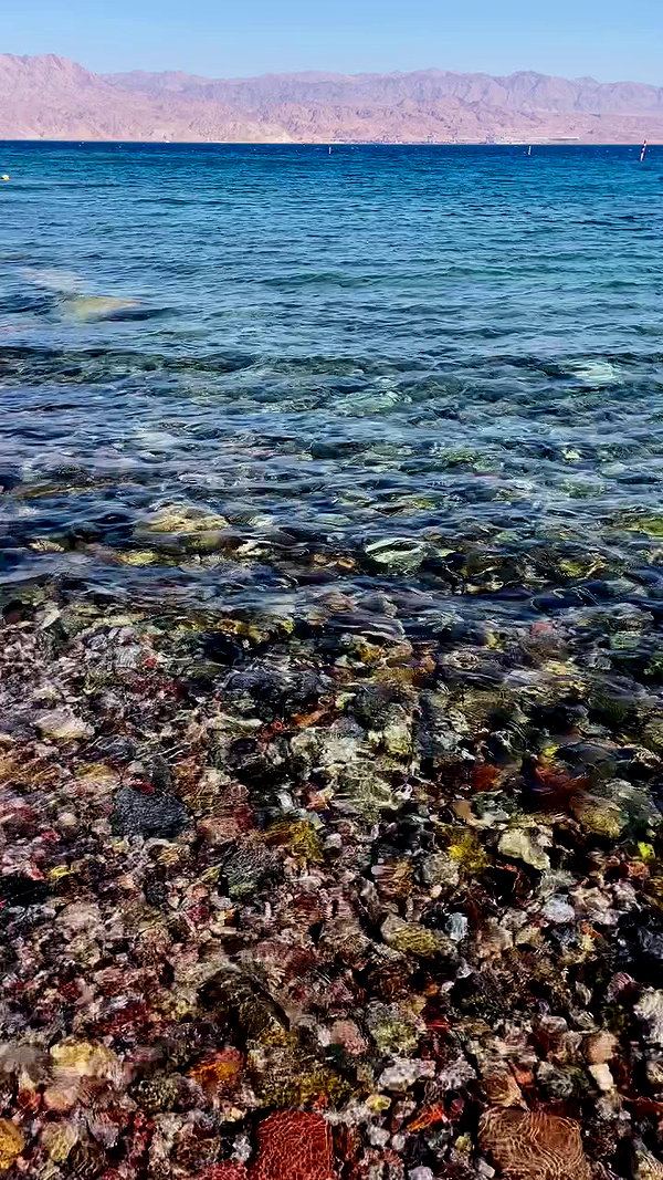 lital.oss archive video preview