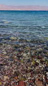 lital.oss Altpins Profile Picture