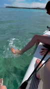 martinadoglioli Altpins Profile Picture