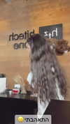 karin.ben.yair Altpins Profile Picture