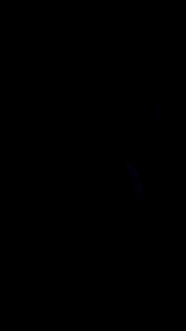 n3m4la_ archive video preview