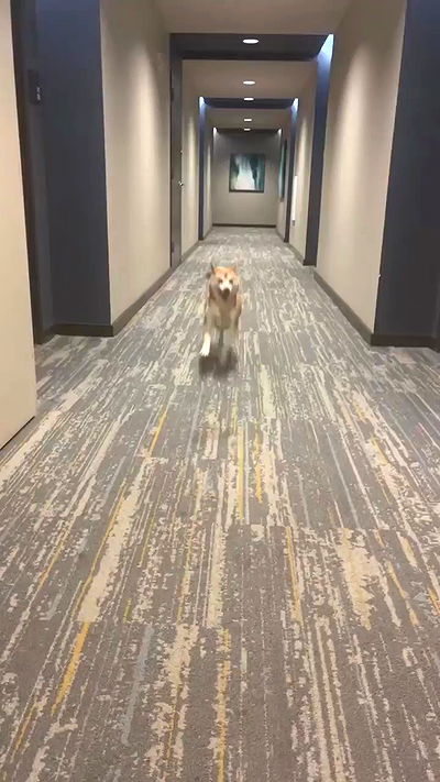 zommmbri zommmbri archive video