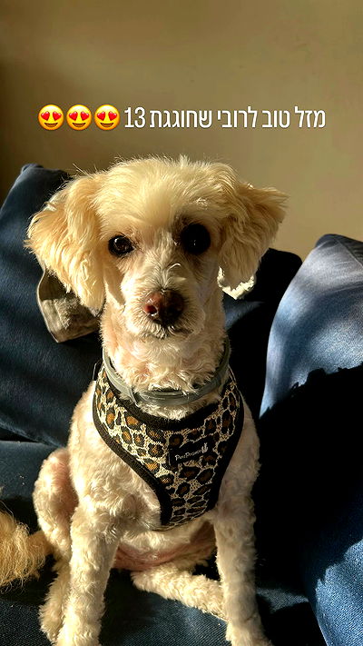 feelbetterinmysweater feelbetterinmysweater archive video