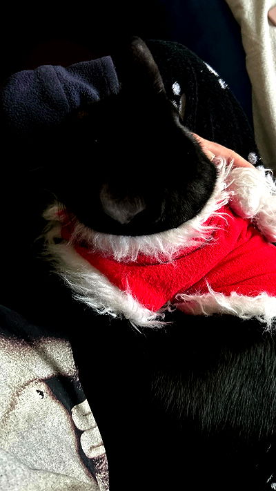 feelbetterinmysweater feelbetterinmysweater archive video