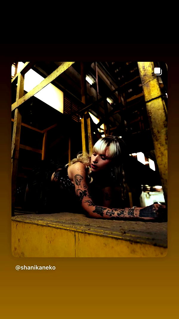 shanikaneko archive video preview