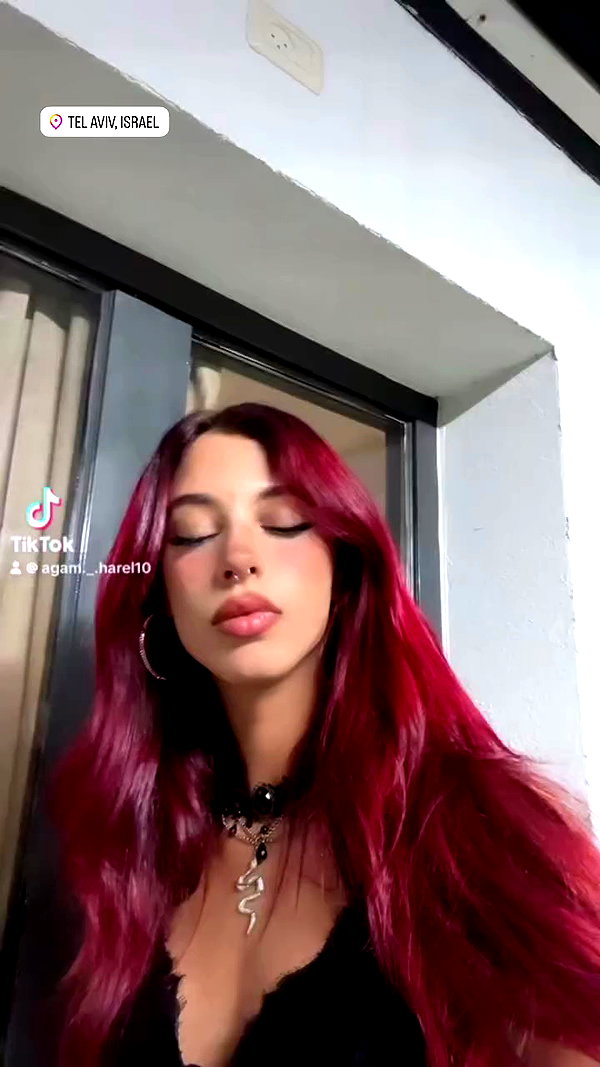 agam._.harel archive video preview