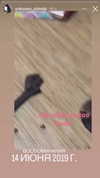 g.rshmn.dead Altpins Profile Picture