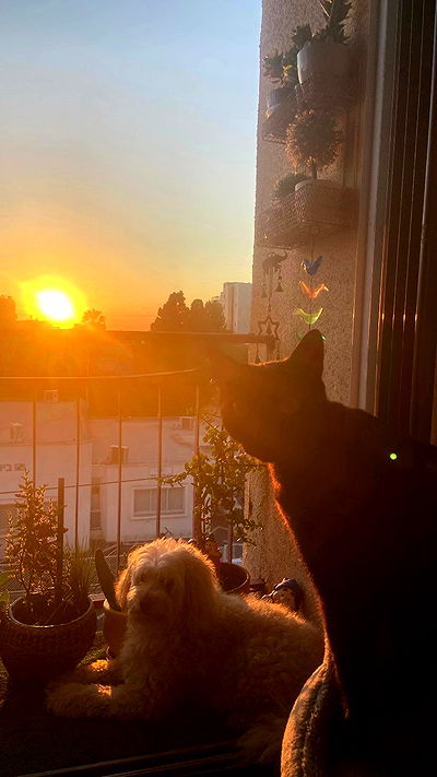 feelbetterinmysweater feelbetterinmysweater archive video