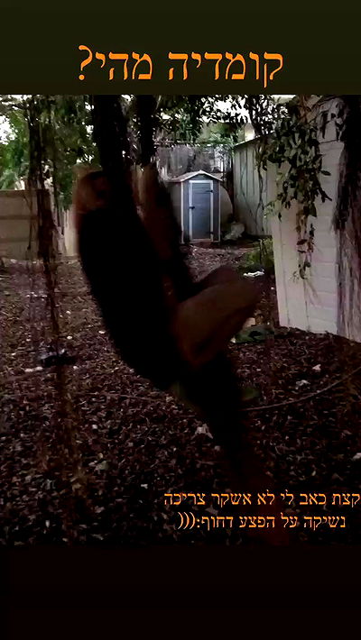 feelbetterinmysweater feelbetterinmysweater archive video