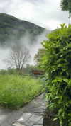 jesskq_ Altpins Profile Picture