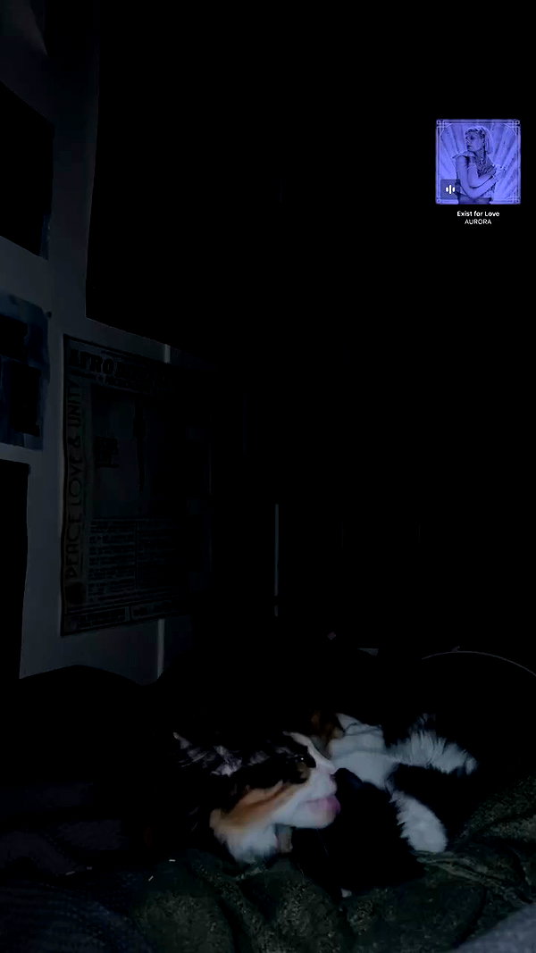 estr3iia archive video preview