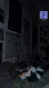 estr3iia Altpins Profile Picture