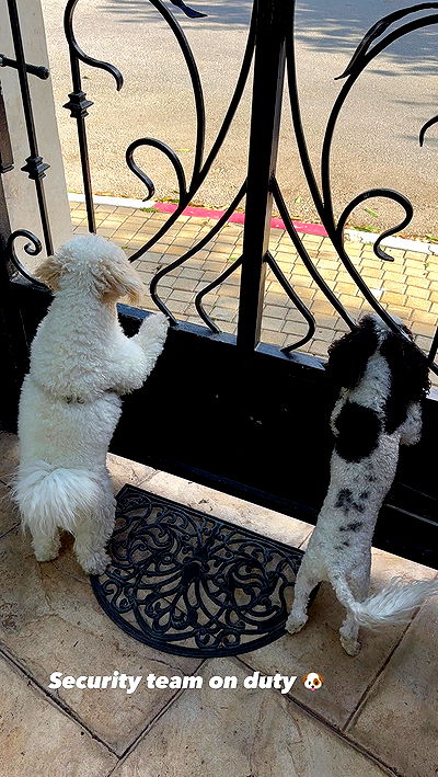 shira_adar_ shira_adar_ archive video