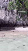 shelly_roberin Altpins Profile Picture