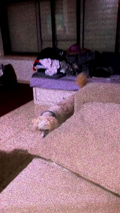 feelbetterinmysweater feelbetterinmysweater archive video