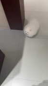 maymay_hitomi Altpins Profile Picture