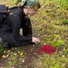 witchpixie Altpins Profile Picture
