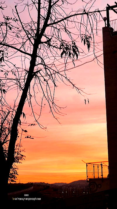 lea._3827 lea._3827 archive video