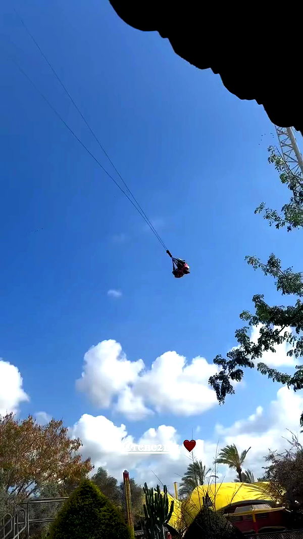 rene2141 archive video preview