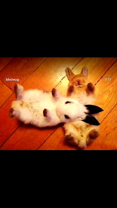 alexalizzz alexalizzz archive video