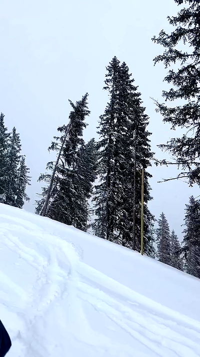 payton.r payton.r archive video