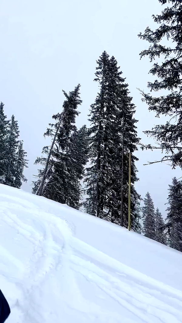 payton.r archive video preview