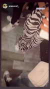 shaniii.1 Altpins Profile Picture