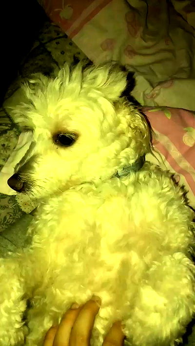 feelbetterinmysweater feelbetterinmysweater archive video